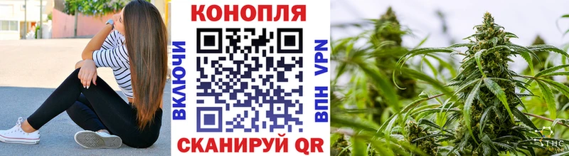 Шишки марихуана семена  Купить где  Пятигорск 